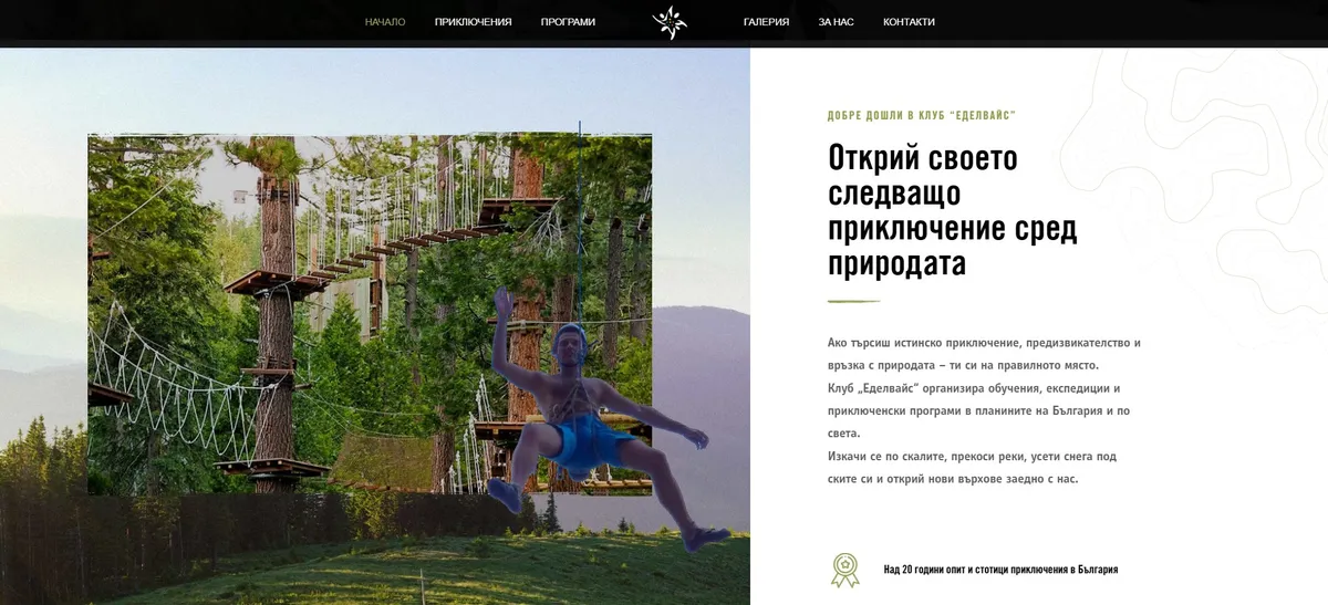 Project screenshot 2