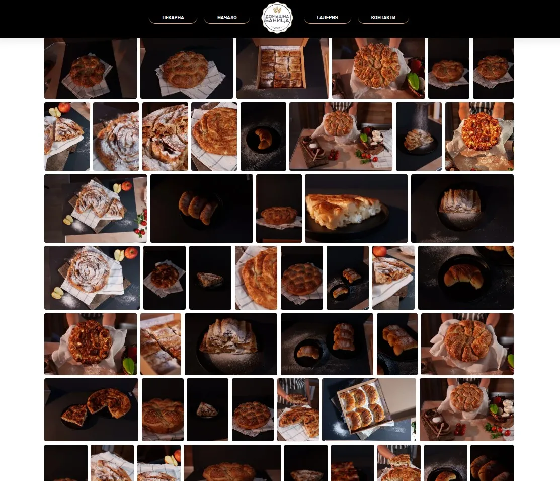 Project screenshot 3