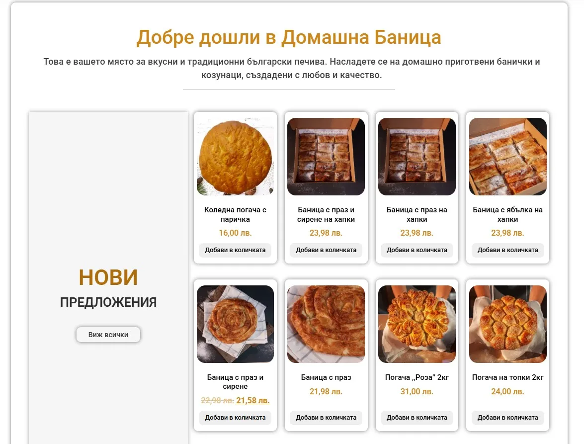 Project screenshot 5
