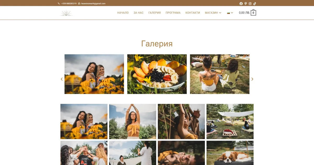 Project screenshot 4