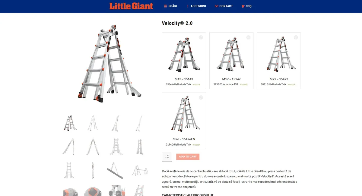 Project screenshot 5